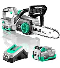 Litheli Cordless Pole Saw, 40V 2.5Ah Battery Pole Saws for Tree Trimming, 10-Inch Pole Saw Battery Powered 16ft/s Cutting Speed Auto Oiling Multi-Angle Electric Pole Chainsaw(Battery&Charger Included)