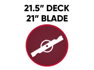 PowerSmart 21 in. Gas Lawn Mower with 125cc Briggs and Stratton E300 Engine, 2-in-1 Push Mower with Mulching & Side-Discharge