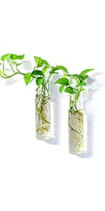 Kingbuy Hydroponic Glass Vase Vintage Desktop Plant Terrarium Planter Bulb Vase Water Planting Propagation Vase Planters Hydroponics Plants with Retro Wooden Stand Home Garden. (E(2 Heart Vase))