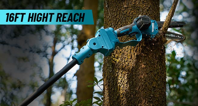 Seesii PS600 2-in-1 Electric Pole Saws for Tree Trimming, 6 Inch Mini Chainsaw Cordless with Extension Pole, Battery Powered Pole Chain Saw, Tree Trimmer Limb Branch Cutter Pruner with 2 Battery