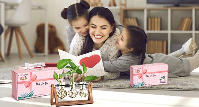 XXXFLOWER Plant Terrarium with Wooden Stand, Air Planter Bulb Glass Vase Metal Swivel Holder Retro Tabletop for Hydroponics Home Garden Office Decoration - 3 Bulb Vase