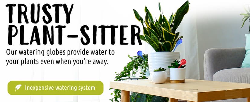 LGL Plant Watering Globes - Automatic Self Watering Globes. Decorative Self Watering Planter Inserts Made From Hand-Blown Durable Glass. Self Watering Spikes to Support Plant Health. 4 Pack, Jumbo.