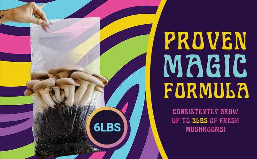 Jumbo All-in-One Mushroom Grow Bag | 6 lb Mushroom Grow Kit | Grows Like Magic | Spores Not Included | Grow Mushrooms at Home | Mushroom Grow Kit | Sterilized Grain with Substrate