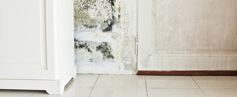 Ozone Generator 45,000mg/h, Industrial/Home O3 Air Purifier Deodorizer for Areas of 2500 Square Feet - High Capacity Ozone Machine Air Ionizer Odor Clean for Rooms, Smoke, Cars, Pets (Green)