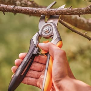 Fiskars Bypass Pruning Shears, 1-Inch Cut Capacity Softgrip Pruner, Forged Steel Replaceable Blade Stays Sharp Through Heavy Use with Rust Resistant, Low-Friction Coating