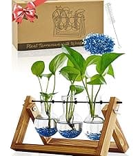 Nacome Solar Guardian Lion Garden Statue: Outdoor Decor Sculpture with Ball Lights for Yard Art Porch Patio - Unique Birthday Gifts for Women Mom