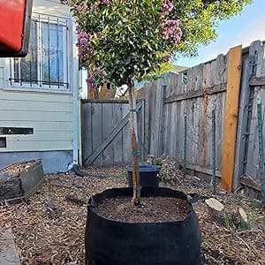 Gardzen 2-Pack 50 Gallon Grow Bags, Aeration Fabric Pots with Handles, Pot for Plants