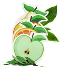 Bamboo Dish Brush Set of 3, 100% Plant-Based Kitchen Dish Brush Bamboo with Sisal and Coconut Bristles, 2 Brush Types, No Scratch Wood Sish Scrub Brush for Dishes, Quick-Drying, Odor Free