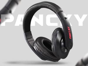 PANCKY Metal Detectors for Adults Waterproof, Professional Higher Accuracy Gold Detector with LCD Display, 5 Mode, Advanced DSP Chip 10" Coil, PK0075