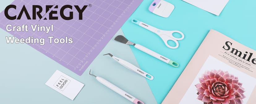 CAREGY Craft Vinyl Weeding Tools Set, Precision Craft Tools Kit, Weeding Kits for Cricut/Silhouette/Siser/Oracal 631/651/751 Vinyl