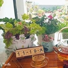 Garden Statues Flowerpot Landscaping Tree-Hugger Fairy Plant Pot&Vase Hugger, Mini Decorative Climber Clingers (3Pack Elephant)