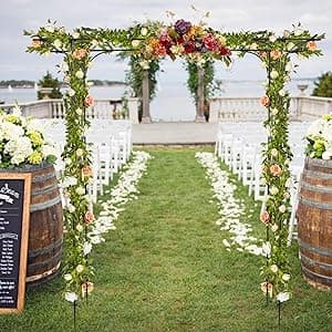 VINGLI Garden Arbor, Arch Archway for Wedding Ceremony Party, Steel Garden Trellis for Plant Climbing, Christmas Decorations Pergola for Backyard, Lawn (Black)