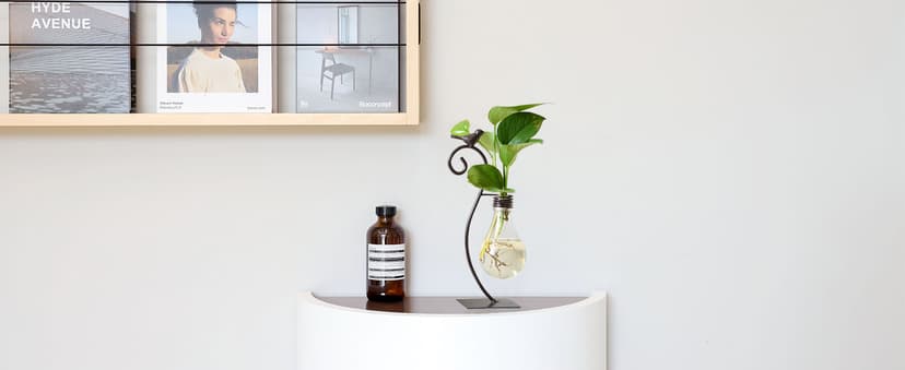 Marbrasse Desktop Glass Planter Hydroponics Vase,Planter Bulb Vase with Holder for Home Decoration,Modern Creative Bird Plant Terrarium Stand, for Plant Terrarium