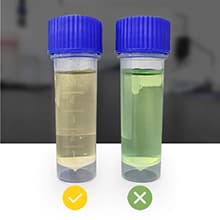AquaDx 2 Pcs Water Bacteria Test Kit Total Coliform and E.coli Testing for Home Water Drinking Water Pool Pond Ground Well Water – Water Quality Test Kit Easy to Use