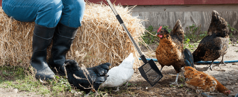 KeFanta Cat Litter Scoop, 41in Metal Kitty Poop Scooper, Heavy Duty Stainless Steel Sifting Shovel with Long Handle for Chicken Coop