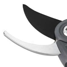 WORKPRO Bypass Pruning Shears, 8’’ Stainless Steel Gardening Hand Pruner, Professional Garden Trimming Scissors with Sharp SK5 Steel Blades, Ideal Garden Tool,Green