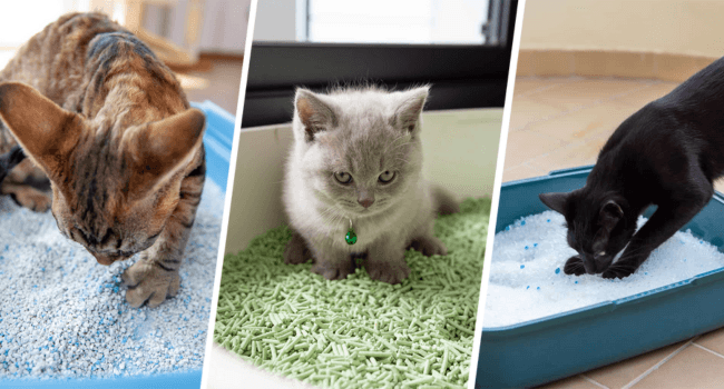 KeFanta Cat Litter Scoop, 41in Metal Kitty Poop Scooper, Heavy Duty Stainless Steel Sifting Shovel with Long Handle for Chicken Coop