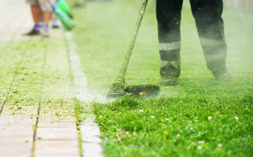 GreatBuddy 3 Pack AF-100 Weed Eater String Compatible with Black Decker Wacker String Trimmer Line, 30ft, 0.065 Inch