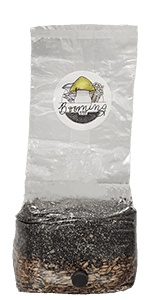| The Magical 5lb All-in-One Mushroom Grow Bag | Mushroom Grow Kit | Harvest Your own Happiness | Discover The Magic of Growing Mushrooms - 5lb Grow Bag Mushroom Starter Kit