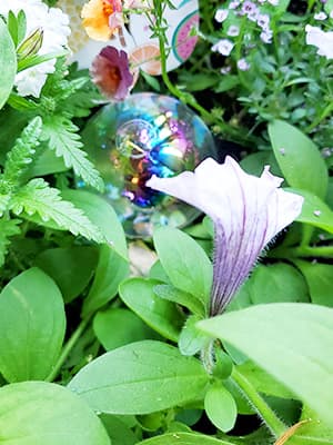 4 Pcs Plant Watering Globes,Rainbow Gradient Glass Watering Devices,Self Watering Planter Insert Plant Accessories for Indoor,Outdoor,Flowerpot,Hanging Plants,Home Garden,8.7" L×2.8" D