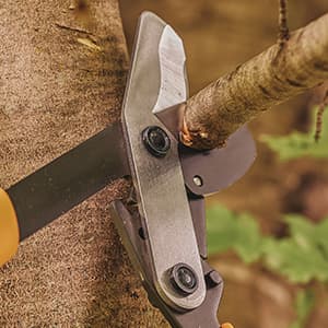 Fiskars 32-Inch Loppers for Tree Trimming, Heavy Duty, Low-Friction Sharp Steel Blade, Branch Cutter up to 2-Inch Diameter Cut Capacity, PowerGear2 Technology that Multiplies Power for Less Effort