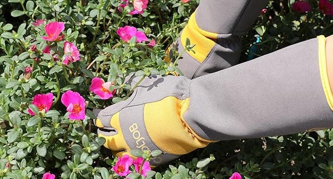 COOLJOB Thorn Proof Rose Pruning Garden Gloves for Women, Long Sleeve Padded Yard Work for Bush, Blackberry, Cactus, Heavy Duty/Puncture Resistant/Machine Washable, Medium, Yellow