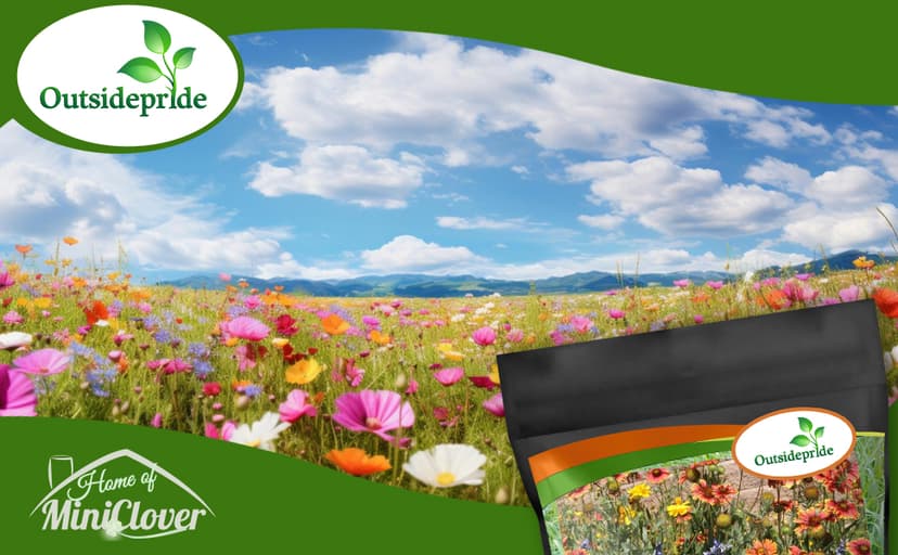 Outsidepride Dryland Wildflower Seed Mix - 1 lb. Colorful Blend of Drought Tolerant, Annual and Perennial Wildflower Seeds for Attracting Pollinators in Arid States & Xeriscapes