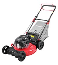 PowerSmart 21 in. Gas Lawn Mower with 125cc Briggs and Stratton E300 Engine, 2-in-1 Push Mower with Mulching & Side-Discharge