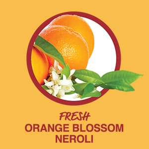 Hot Tub Aromatherapy 24 Pack – Now 2X Stronger - Set of Relaxing Spa Scents Including Lavender, Eucalyptus, Vanilla, Coconut, and More – Paraben-Free, Hot Tub Accessories for Adults