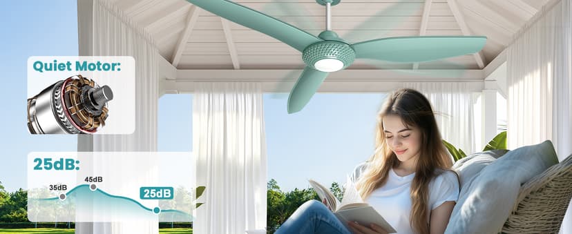 Outdoor Ceiling Fan Light for Gazebo with Battery, 52" Solar Ceiling Fan with Adjustable Thermostat & 2pcs 30W Bifacial Panels for Patios, Porch, Barn, Shed