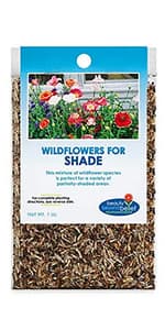 Drought Resistant Wildflower Seeds - 1oz, Open-Pollinated Bulk Flower Seed Mix for Beautiful Perennial, Annual Garden Flowers - No Fillers - 1 oz Packet