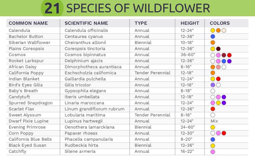 Wildflower Seeds Annual Quick Blooming Mix - Large 1 Ounce Packet Over 7,500 Open Pollinated Seeds