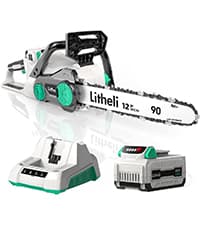 Litheli Cordless Pole Saw, 40V 2.5Ah Battery Pole Saws for Tree Trimming, 10-Inch Pole Saw Battery Powered 16ft/s Cutting Speed Auto Oiling Multi-Angle Electric Pole Chainsaw(Battery&Charger Included)