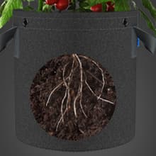 AC Infinity Heavy Duty Fabric Pots, 5 Gallon Aeration Reusable Grow Bags 5-Pack with 500G Thick Nonwoven Fabric and Multi-Purpose Rings, for Low Stress Plant Training Fruits, Vegetables, and Flowers