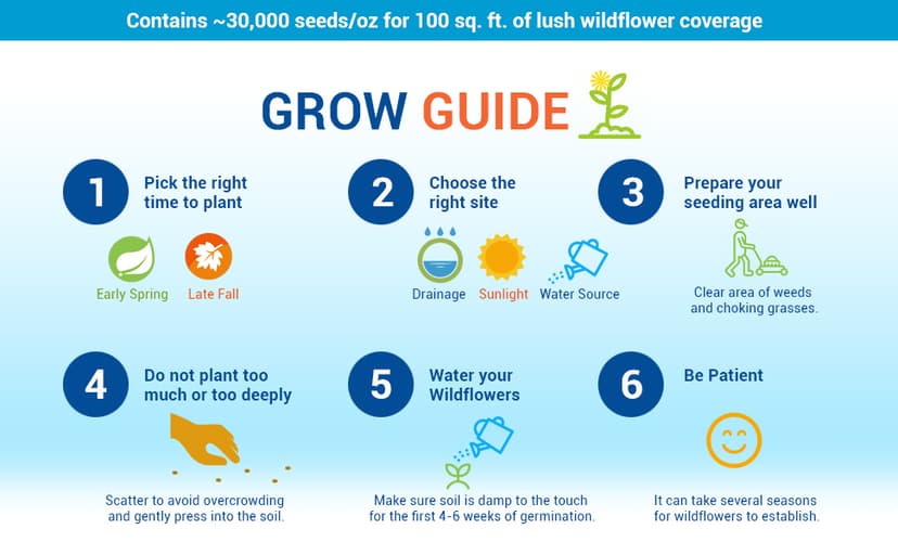 Drought Resistant Wildflower Seeds - 1oz, Open-Pollinated Bulk Flower Seed Mix for Beautiful Perennial, Annual Garden Flowers - No Fillers - 1 oz Packet
