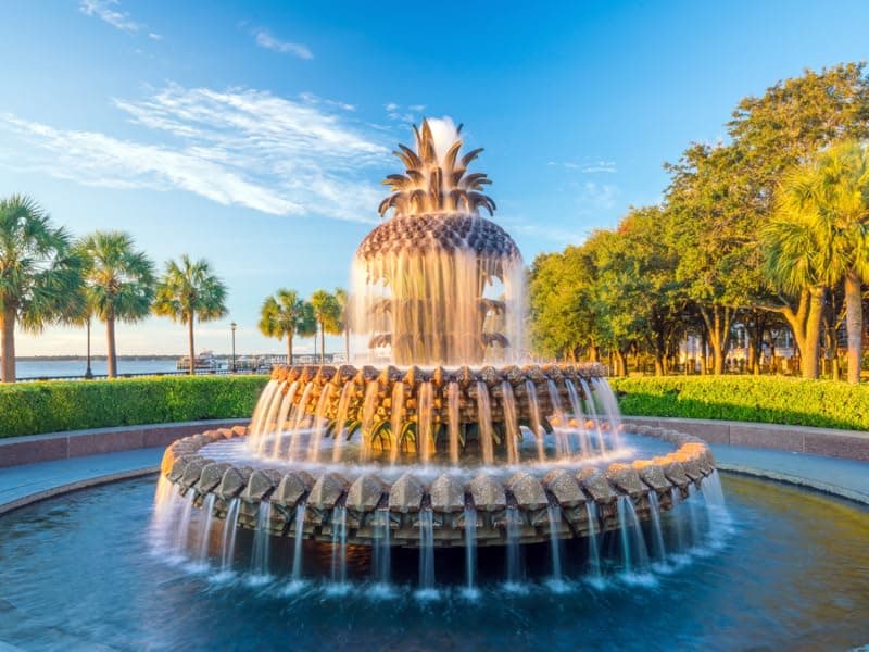 Hot Tub Defoamer - Pool, Fountain, & Spa - Antifoam Concentrate - Silicone Emulsion - Quickly Removes & Prevents Foam in Water - Eco Friendly & Safe Formula - No Harsh Chemicals - 1/2 Gallon (64 oz.)