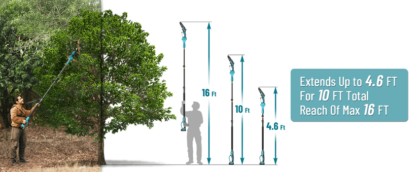 Seesii PS620 2-in-1 Electric Pole Saws: 6 Inch Mini Chainsaw Cordless with Extension Pole, 2Pcs Batteries, Brushless Chain Saw for Limb Branch Cutter, Battery Tree Trimmers Pruner,16Ft Long Reach