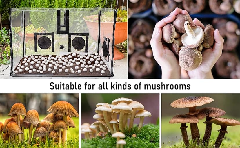 Large Still Air Box Mushroom Mycology Fume Hood Propagation StationsGrow Kit Mushroom Grow Bags Your Monotub Kit Mushroom Planting BagTent for Spores Horticulture Supplies (31.5 * 20.5 * 20.5inch)