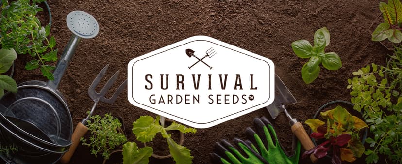 Drought-Tolerant Vegetable Seed Collection - 10 Packets of Seeds to Grow Drought-Resistant Plants for Growing in Home Vegetable Gardens - Non-GMO Heirloom Open-Pollinated - Survival Garden Seeds