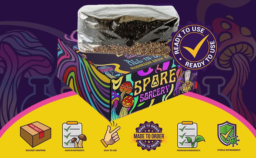 Jumbo All-in-One Mushroom Grow Bag | 6 lb Mushroom Grow Kit | Grows Like Magic | Spores Not Included | Grow Mushrooms at Home | Mushroom Grow Kit | Sterilized Grain with Substrate