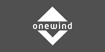 Onewind Camping Hammock, Ultralight Portable Hammock with Adjustable Ridgeline, Outdoor Hammock 20D Ripstop Nylon with 2 * 12Ft Tree Strap, Ideal for Camping, Hiking, Backpacking