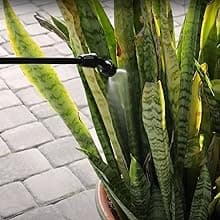 REALWORK 4-Gallon Backpack Sprayer with Padded Shoulder Strap for Pests & Weeds, Watering Garden, and Spraying Plants, in Translucent White