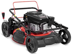 PowerSmart 21 in. Gas Lawn Mower with 125cc Briggs and Stratton E300 Engine, 2-in-1 Push Mower with Mulching & Side-Discharge