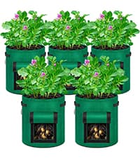 VIVOSUN 50-Pack 3 Gallon Grow Bags for Plants, Black-and-White Thick Plastic Bags for Potting Seedlings, and Rooting