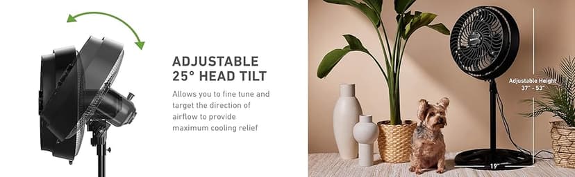 HOLMES 16" Outdoor Misting Stand Fan, Hose Connection, 3 Speeds, 3 Micro-Mist Levels, 80° Oscillation, Adjustable Height, 25° Head Tilt, GFCI Plug, Black