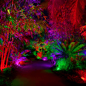 T-SUNUS Christmas Solar Landscape Spotlights Color Changing 2 Pack, Halloween Solar Spot Lights Outdoor Waterproof Garden Pond Light, Separately Installed for Outdoor/Indoor