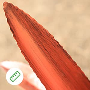 Metal Agave Plant Home Decor, Enlarge Thickened Metal Agave Garden Art for Outdoor Decor, Patio Lawn, Garden Sculpture Statue Green