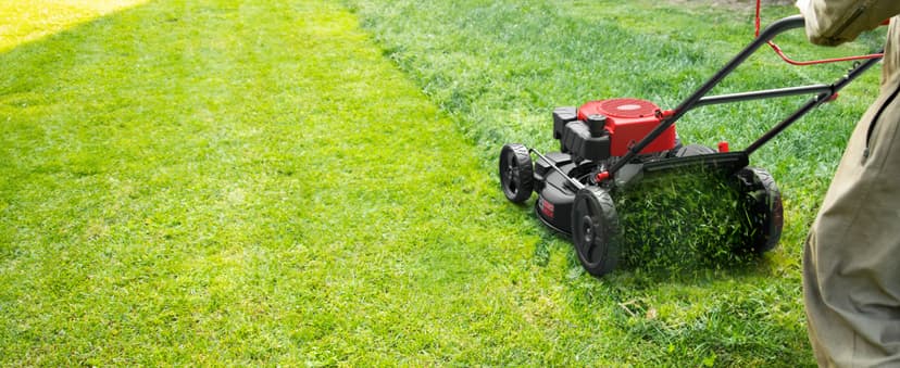 21" Steel Deck Self-Propelled Lawn Mower, 170cc OHV Engine with Forced Air-Cooling System, 3-in-1 Mulching, Rear Bag & Side Discharge, 6 Adjustable Cutting, Easy Assembly & Maintenance, AV8621S1