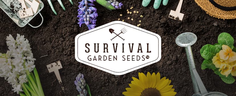 Lamb's Ear Seeds for Planting - 1 Packet with Instructions to Plant & Grow Lambs Ear Plant, Shade & Drought Tolerant Wooly Betony in Your Home Garden - Non-GMO Heirloom Variety - Survival Garden Seeds