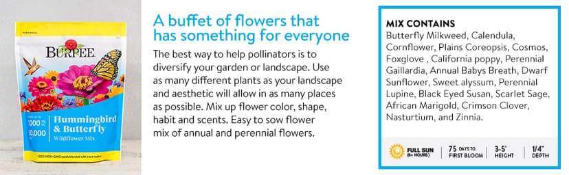 Burpee Wildflower 25,000 Bulk, 1 Bag 18 Varieties of Non-GMO Flower Seeds for Hummingbirds and Butterflies